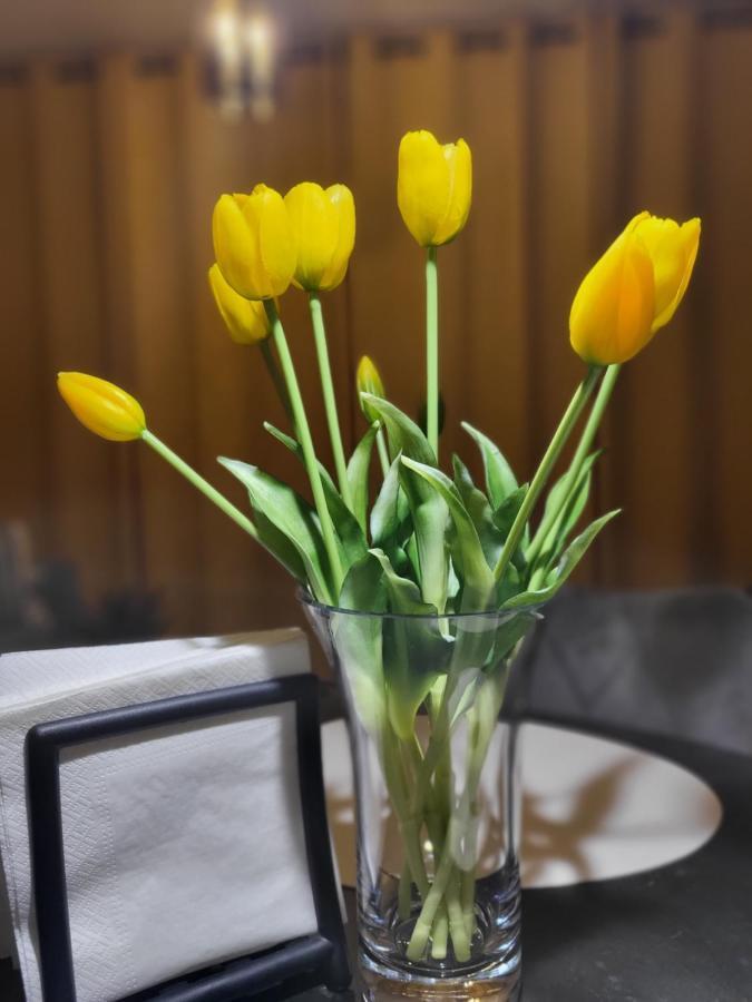 A70 Laguna Beskidow Wellness&spa Zeglarski Zarzecze (Silesia)
